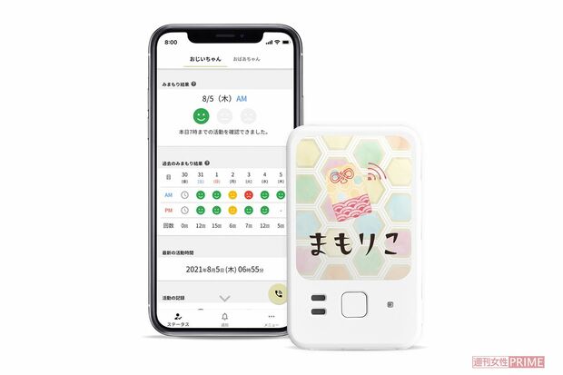 毎日開け閉めするから異変がわかりやすい【ネコリコ】まもりこ
