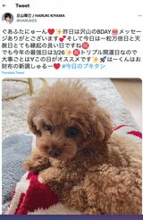 丘山晴己が1月11日、自身のツイッターで投稿した独特な文面