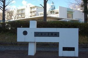 いちょう団地は、高度経済成長期に建てられた巨大団地