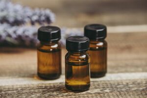 ※画像はイメージです