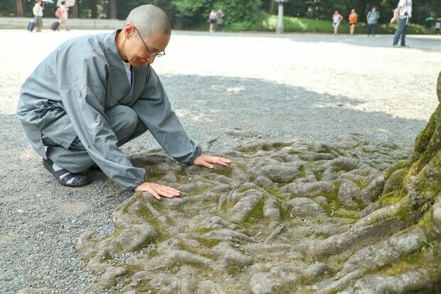 散策中「夫は木の根も好きでした」と思いを馳せた