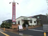 お騒がせグラドルの小坂由佳、保育園オープンの理由とは