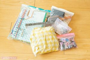 ISTADイースタードフリーザーバッグ／イケア（撮影／齋藤周造）