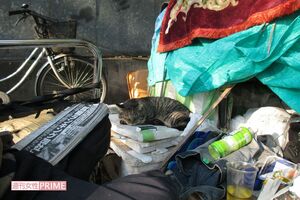 猫を飼うホームレスも多い