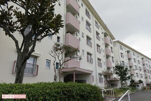 実家を離れ、きょうだいで暮らす集合住宅