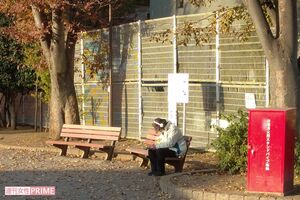 写真はイメージです