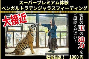 動物との距離の近さが売りでエサやり体験も実施中（公式サイトより）