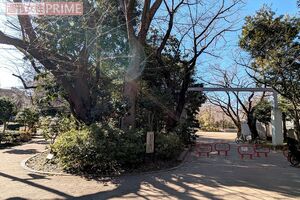 隣接する小学校の正門前でも撮影が行われていた