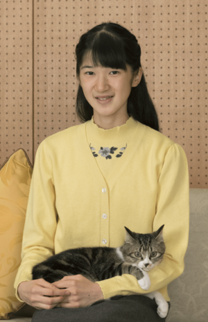 15歳のお誕生日を迎えられた愛子さま。膝の上にはオス猫のセブンくんが(提供/宮内庁)