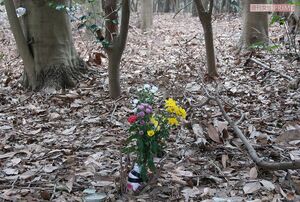 昨年11月に吐血して死んだ猫の墓（稲毛海浜公園内）