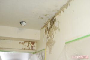 遺体からあふれた体液は階下へ。虫が発生し強烈な悪臭が広がるため、そのまま生活することは難しい