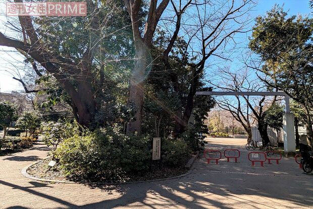 隣接する小学校の正門前でも撮影が行われた