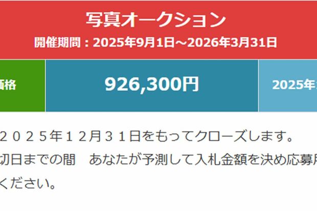 八代亜紀さんのヌード写真の原版オークション。2025年12月20日時点のオークション価格は92万6300円（公式HPより）