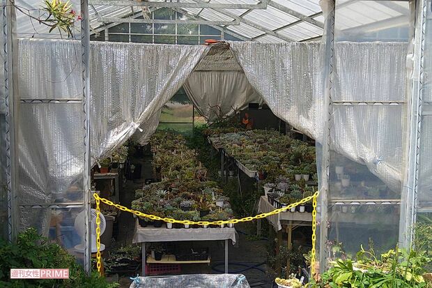 中里さんの自宅近くにはビニールハウスが。そこで母親が多肉植物などを育てて販売するなど、優雅に暮らしていた