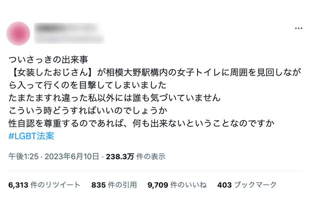 小田急相模大野駅構内の女子トイレに、女装した男性が周囲を見回しながら入って行くのを目撃した女性の投稿（ツイッターより）