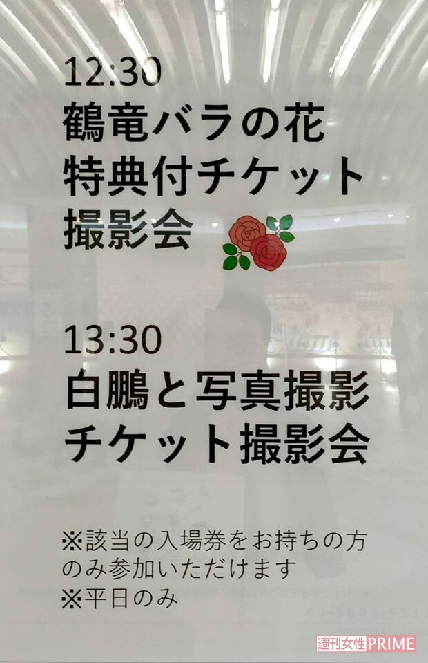 令和4年大相撲5月場所「鶴竜親方からバラの花を手渡してもらって撮影会」なる企画も！（筆者提供）
