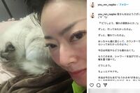 遠野なぎこ、ペットショップで聞いた老夫婦の言葉に怒り露わも「他人の悪意を拾いすぎ」と逆に心配される