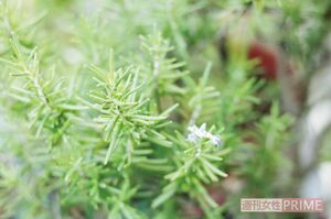 ※写真はイメージです