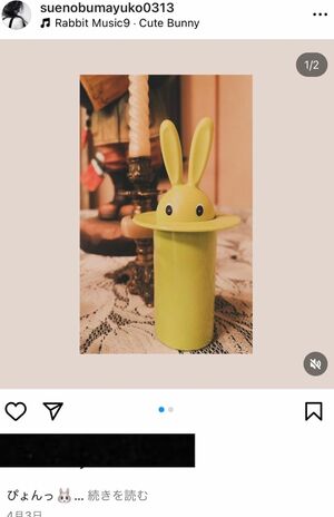 末延麻裕子の公式Instagramより