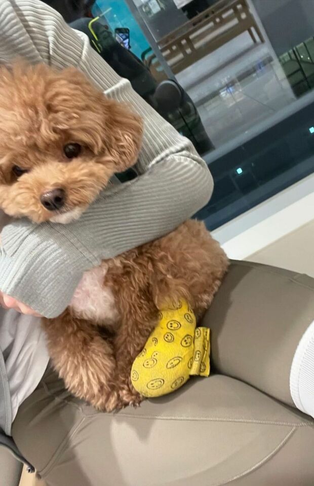 2024年3月10日に投稿された、動物病院で撮影されたと思われる写真（本人インスタグラムより）