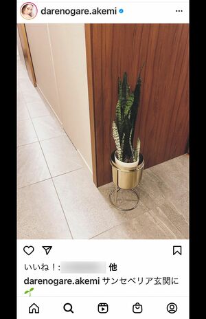 ダレノガレ明美Instagramより