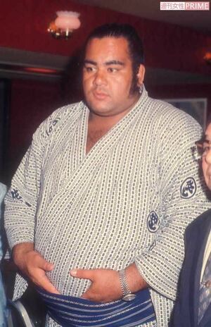 ハワイ出身の元祖外国人力士・高見山