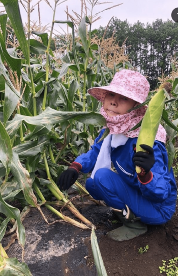 とうもろこしの収穫を体験するなどアクティブな研ナオコ（本人公式インスタグラムより）