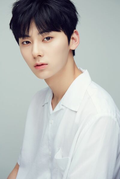限定価格ワナワン Wanna One ファンミニョン　NU'EST ニュイ ファン・ミンヒョン｜NU'EST、Wanna One｜応援投票、身長、年齢など