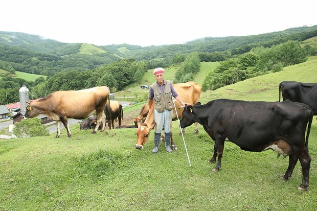 現在100頭ほどの牛たちはいたるところで尿もするし糞もするが、ほのかに草のにおいがするだけで、牧場特有のあの強いにおいがまったくない。大自然での放し飼いと、配合飼料を使っていないのがその理由と中洞さん　撮影／吉岡竜紀