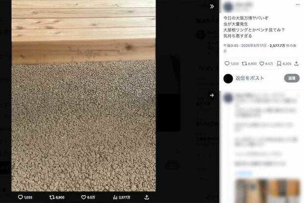大屋根リングの木製の柱などに小さな虫が大量に発生している様子がアップされている(Xより、画像は一部編集部でモザイク加工)