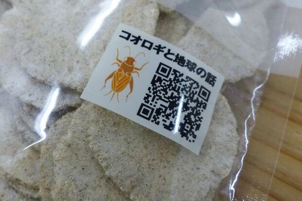 aa商品パッケージQRコードを印刷し、昆虫食の意義などがわかるページに飛べるようになっている（記者撮影／東洋経済オンライン）