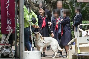 小学校5年生のときに『オール学習院の集い』でお友達と『アイメイト協会』のブースへ('12年4月)