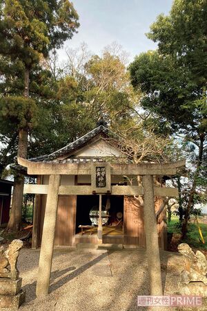 「伊勢出雲神社」は、本殿とは別に境内にある「境内社」。「境内社には珍しい神社がたくさん!」