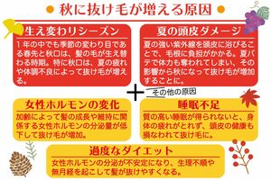 秋に薄毛が進行するのは“夏”のせいだった！
