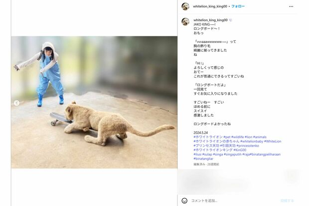 ホワイトライオンと戯れるプリンセス天功（インスタグラムより）