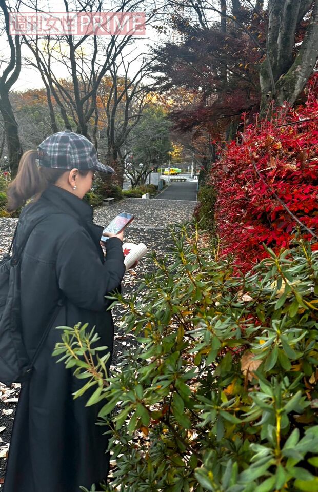 写真提供／加藤綾菜