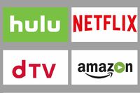 知らなきゃソンする！ ネットテレビのQ&A　これさえ知っておけば大丈夫