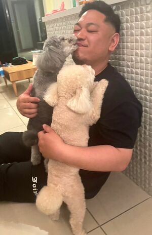 1年ぶりに再会した弟に盛大に甘える愛犬たち　撮影／加藤綾菜