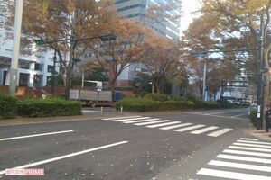 タクシーがハトをひき殺した事件現場