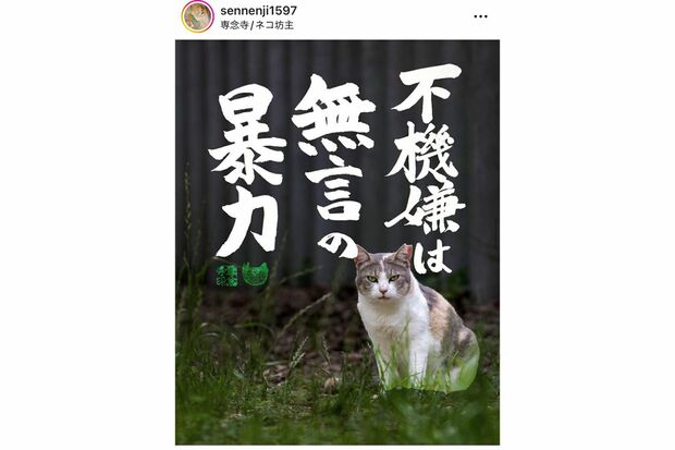 笑顔で挨拶をする、話しかけること自体がプレゼントである仏教の考え方「和顔施（わがんせ）」という言葉の対極にあるのが不機嫌だと解説（籔本さんのインスタより）