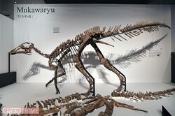 日本が世界に誇るむかわ竜。現在、18道県から骨や歯、卵などの国産の恐竜化石が発見されている