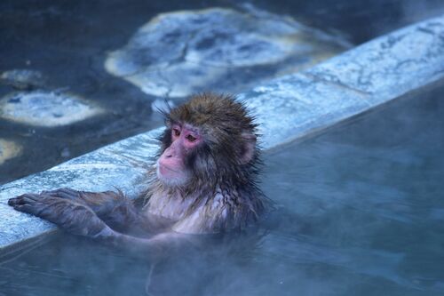 湯の温度は39～40度入浴は“ぬるめでゆっくり”
