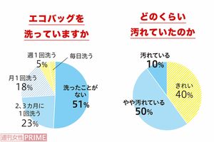 ※昨年、エフコープ舞松原店の来店客100人に「エコバッグを洗っていますか」とアンケート調査した回答（左）と、30人のバッグのふき取り検査で確認できた菌の数。菌が0～9個を「きれい」、10～49個を「やや汚れている」、50個以上を「汚れている」と分類している＝いずれも「エフコープ　CHEER！days」提供