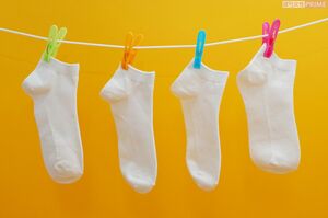 ※写真はイメージです