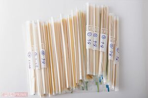 パッケージなどで印象が変わらないよう、商品名をかくして食べ比べした　撮影／山田智絵