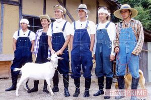 1995年に「ザ!鉄腕!DASH!!」が放送開始。「DASH村」が人気コーナーに