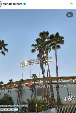 東原亜希がドジャースタジアムを訪れ、大谷の“40本塁打＆40盗塁”達成の瞬間を目撃した（東原のインスタグラムより）