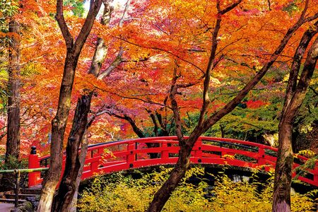 紙屋川にかかる朱塗りの太鼓橋「鶯橋」