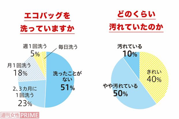 ※昨年、エフコープ舞松原店の来店客100人に「エコバッグを洗っていますか」とアンケート調査した回答（左）と、30人のバッグのふき取り検査で確認できた菌の数。菌が0～9個を「きれい」、10～49個を「やや汚れている」、50個以上を「汚れている」と分類している＝いずれも「エフコープ　CHEER！days」提供