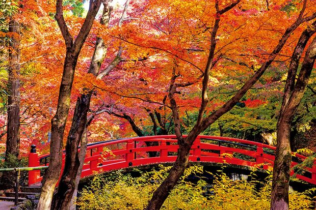 紙屋川にかかる朱塗りの太鼓橋「鶯橋」